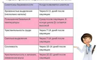 Через Сколько Дней Можно Проверить Беременность