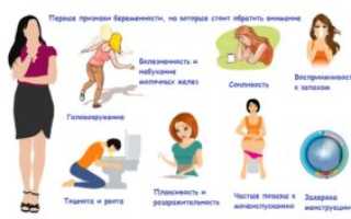 Может ли тошнить на первой недели беременности