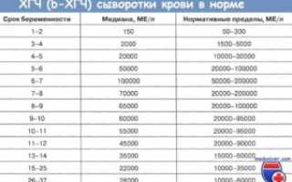 Хгч в норме у небеременных